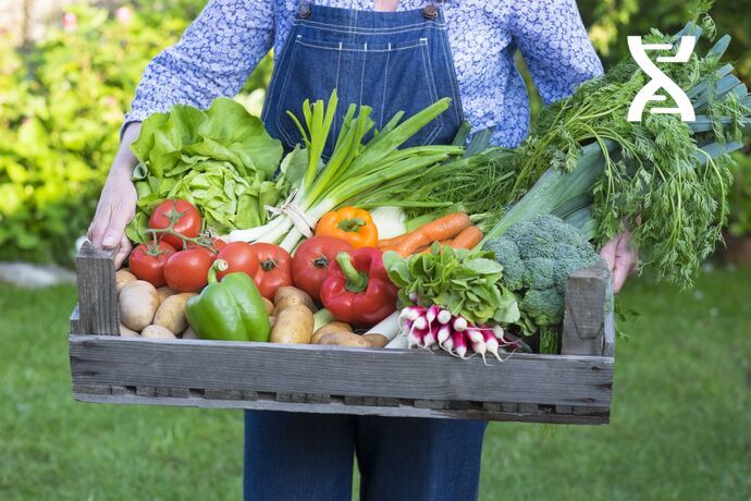 Food warehouses handle all types of containers. Food warehouses handle all types of containers.