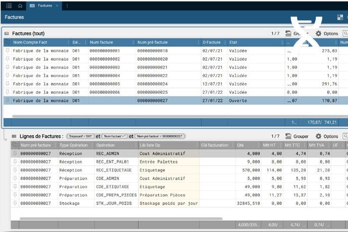 On-screen preview of itemized invoices