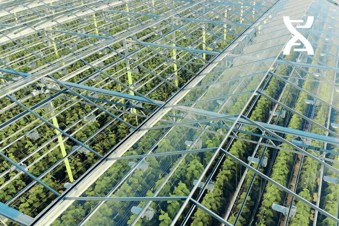 Les Paysans de Rougeline have invested heavily in their production facilities.