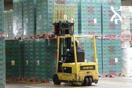 INGRIF's services range from consulting to the integration of logistics software in the Supply Chain Execution division.