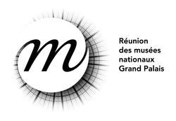rMN logo